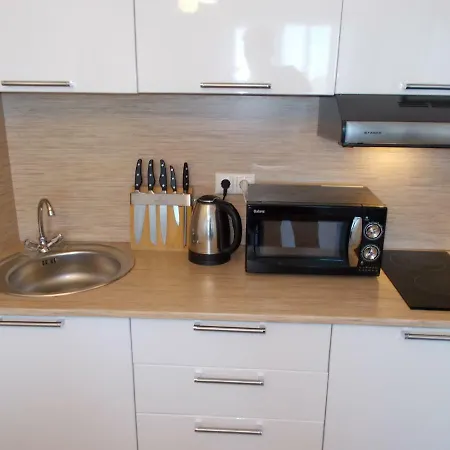 Vega In New Luxury House * Ταλίν